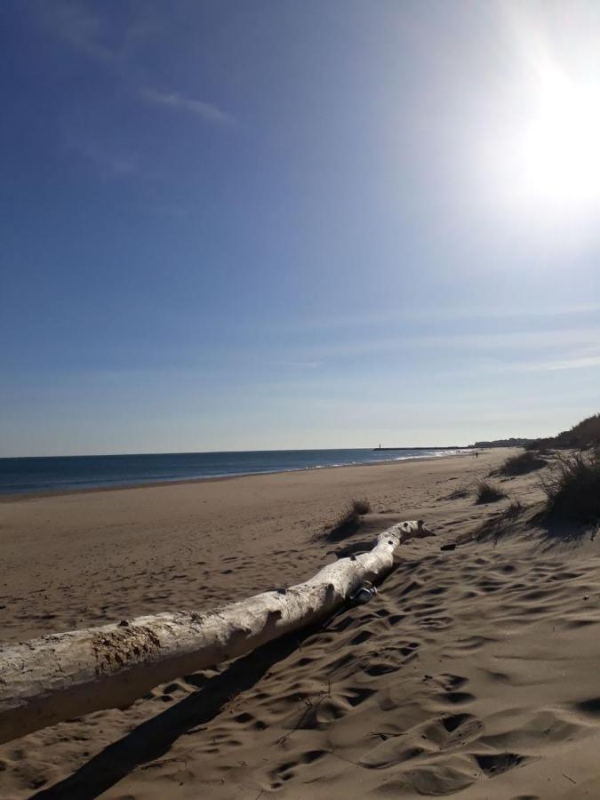 Studio Naturiste Venus Panoramic View Agde Bagian luar foto